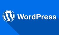 wordpress去掉分类目录category教程