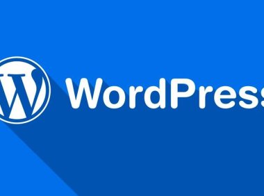 wordpress去掉分类目录category教程